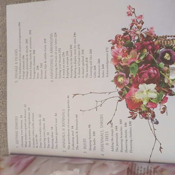 In Bloom book by Clare Nolan, new - Picture 3 of 6